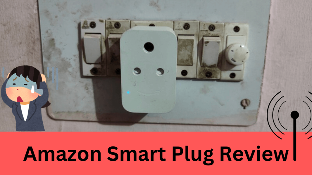 Plug image